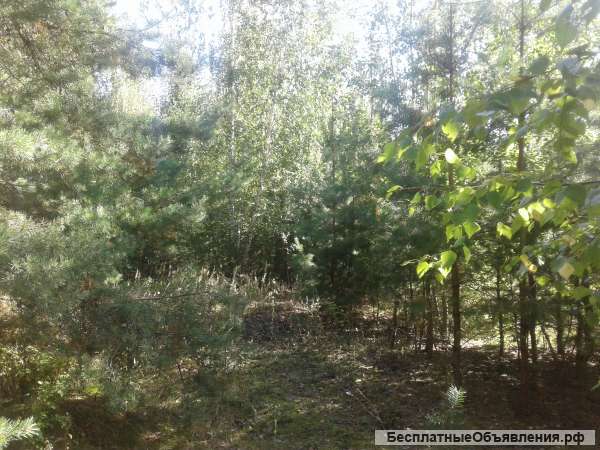 Участок под дачу