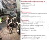Компании требуются сотрудники, по направлениям: -Мойка автомобилей -Химчистка -Полировка