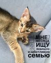 Девочка, 2 мес. ищет любящую семью