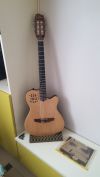 Гитара-Godin Multiac ACS Slim SA