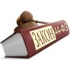44-ФЗ– квалифицированная юридическая помощь