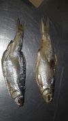 Вкусная вяленая вобла из Астрахани