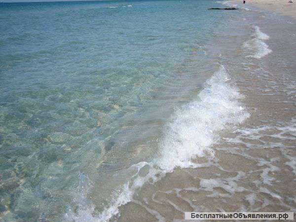 Сдам жилье у моря, недорого