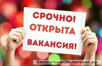 Требуется секретарь