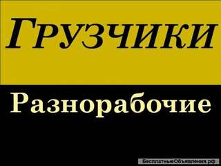 Рабочие, грузчики, подсобники, качество и колличиство