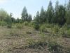Участок -15 соток 98 км. от МКАД. Московская область, Кимры, Талдомский район, д. Воргаш