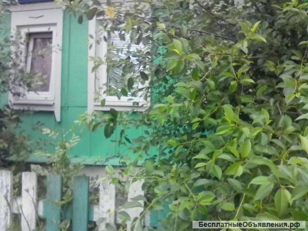 Дом в Воронежской области село Никольское 1