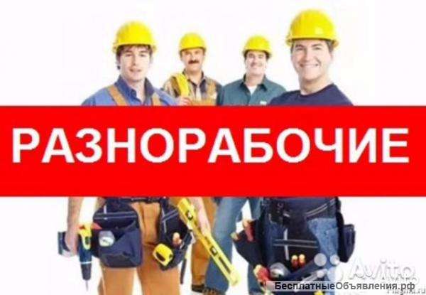 Предоставление услуг разнорабочей деятельности