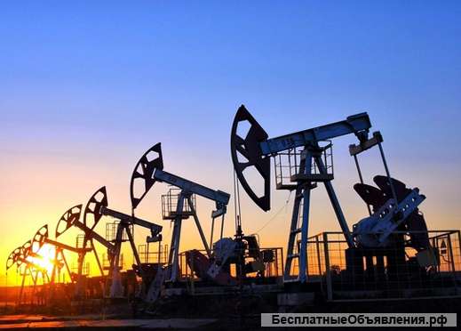 Участие в освоении Нефте- газового месторождения
