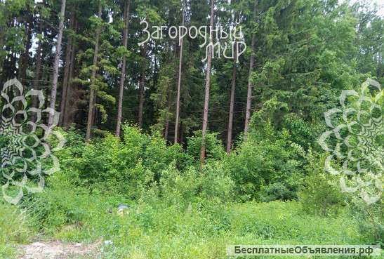 Участок в Елизарово