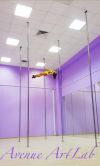 Обучение pole dance, pole sport, растяжка, полотна, кольцо. Курсовые программы pole dance для начина