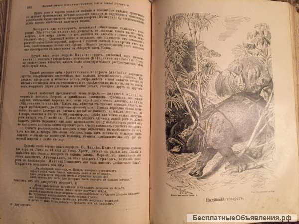 Книги 1901 года издания Брэм, Ратцель на старославянском, с иллюстрациями, 10 томов