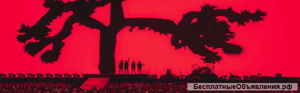 Концерт U2 The Joshua Tree Tour 2017 в Брюсселе 01.08.2017.