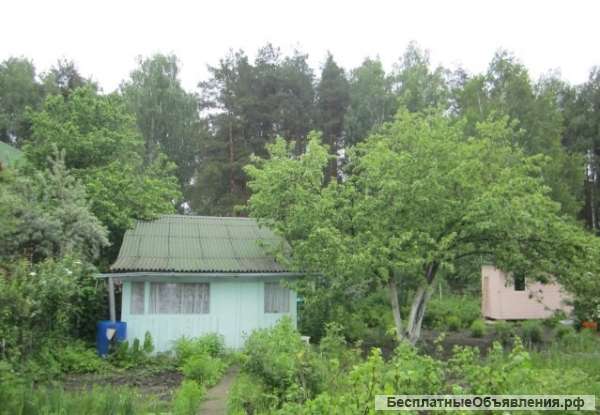 Земельный участок, 3,5 сотки. Королев, СНТ Лесные Поляны