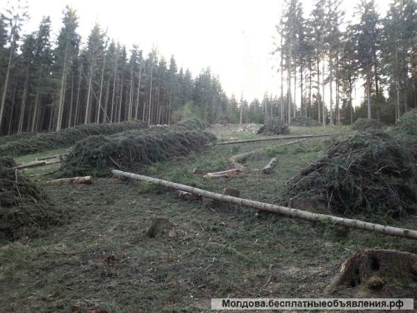 Чехия работа по биометрическому паспортy