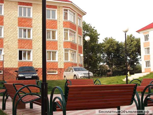 Студия 20 кв на цокольном этаже Новая Москва
