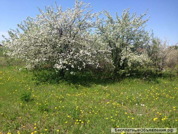 Земельный участок