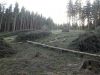 Работа Чехия по биометрическомy паспорту