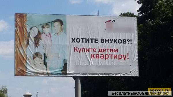 Идеальная гармония природы и городского стиля
