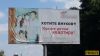 Идеальная гармония природы и городского стиля