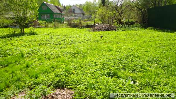 Участок в СНТ Лесовик