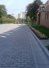 Брусчатка 60