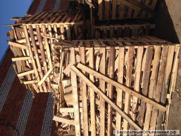 Дрова для дачи бесплатно