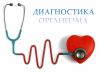 Диагностика организма