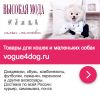 Готовый бизнес по зоотоварам