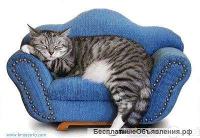 Domik for Cats - гостиница для кошек