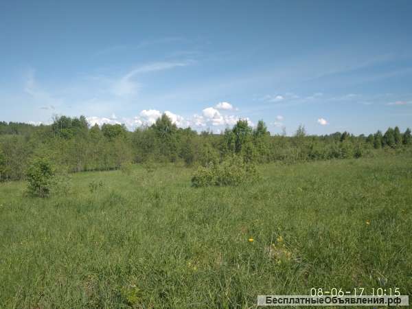 Участок д. Быково Зубцовский район