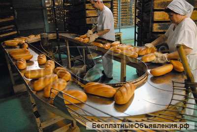 Вахта и постоянная работа во Владимире