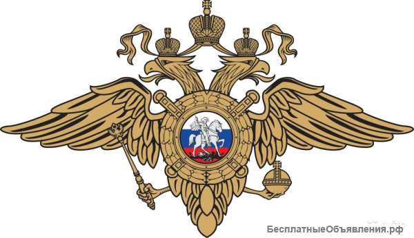 Служба в полиции
