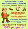 Уничтожение тараканов, клопов и грызунов