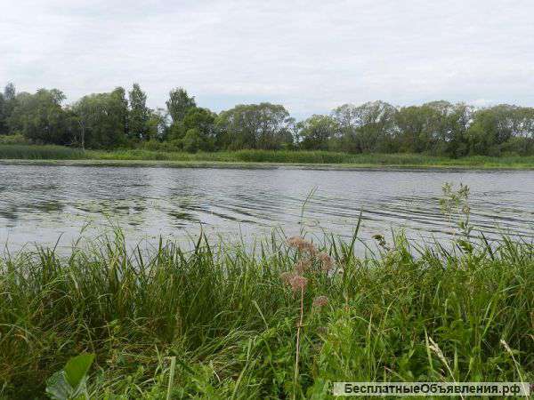 На первой линии р.Волга продается участок 3 га под базу отдыха.