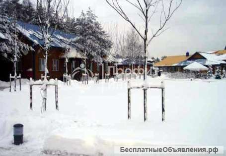 Бывший пионерский лагерь, лесной массив