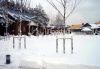 Бывший пионерский лагерь, лесной массив