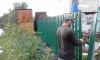 Забор из профлиста, штакета