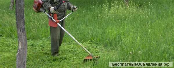 Уборка участка. Покос травы триммером