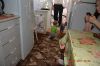 Квартиры