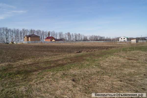 Участок 50 сот. (ИЖС)