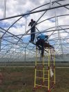 Строительство Теплиц под ключ. Качественно и Недорого