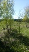 Супер участок. Можайск. Шаликово