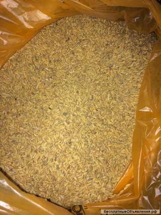 Рис-сырец оптом