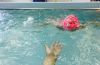 Ищу тренера по плаванию детской секции "Sea Baby"