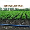 Капельный полив