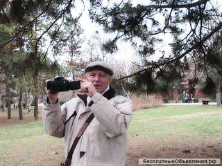 Качественные фотографии из коллекции