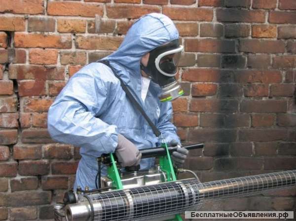 Уничтожение тараканов, клопов, муравьев