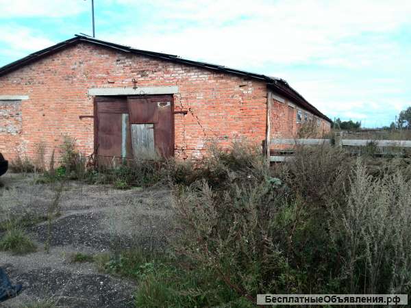 Производственное помещение, 1000 м²