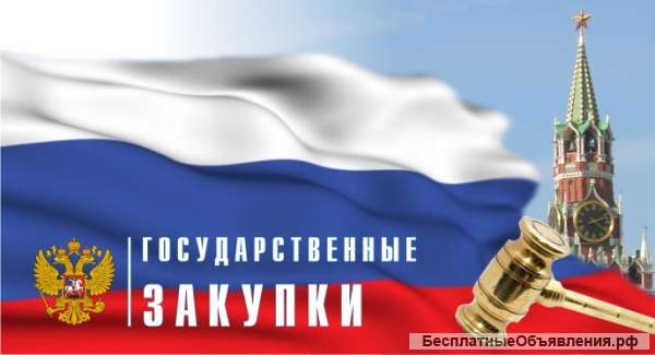 Доступная франшиза. Госзакупки